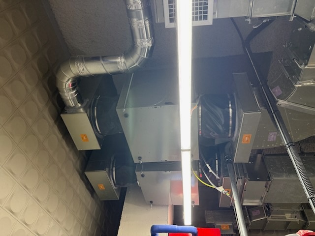 KakaoTalk_20250513_142325209.jpg