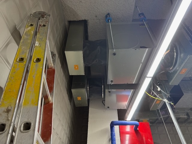 KakaoTalk_20250513_142325209_05.jpg